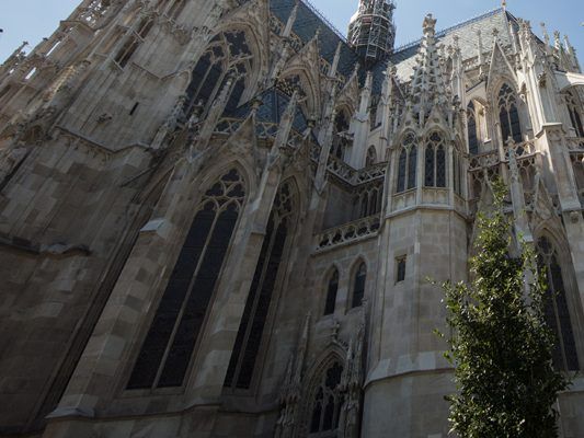 Am 26. August findet eine Führung in der Votivkirche statt. Am 26. August findet eine Führung in der Votivkirche statt.