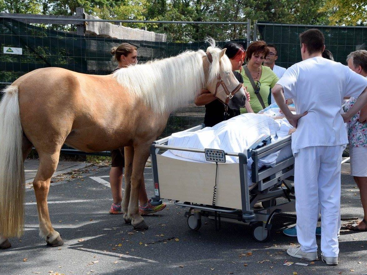 Facebook-Profil/Klinikum Fürth Facebook-Profil/Klinikum Fürth