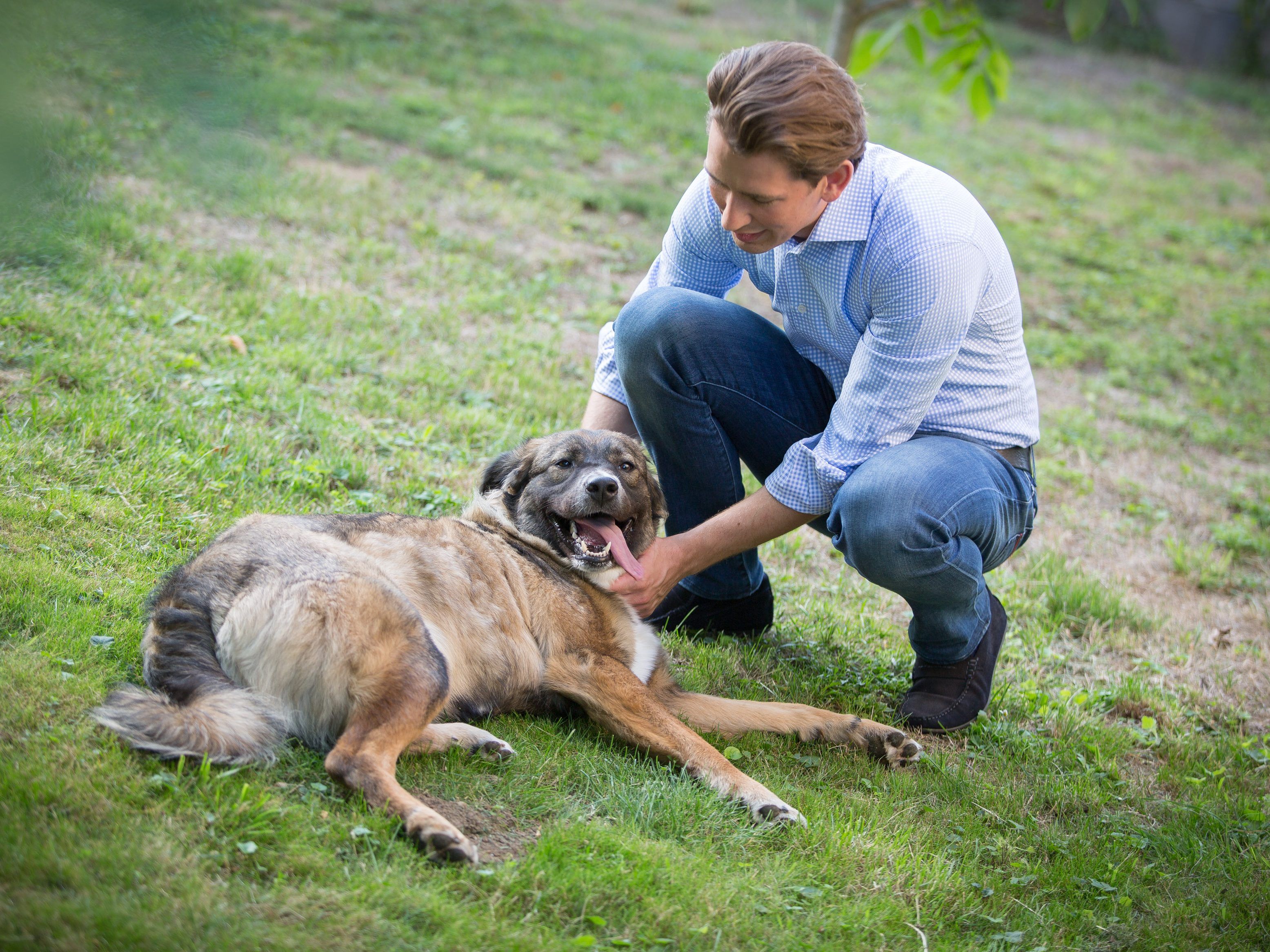 Ein Video-Ausschnitt zeigt Sebastian Kurz mit einem Hund