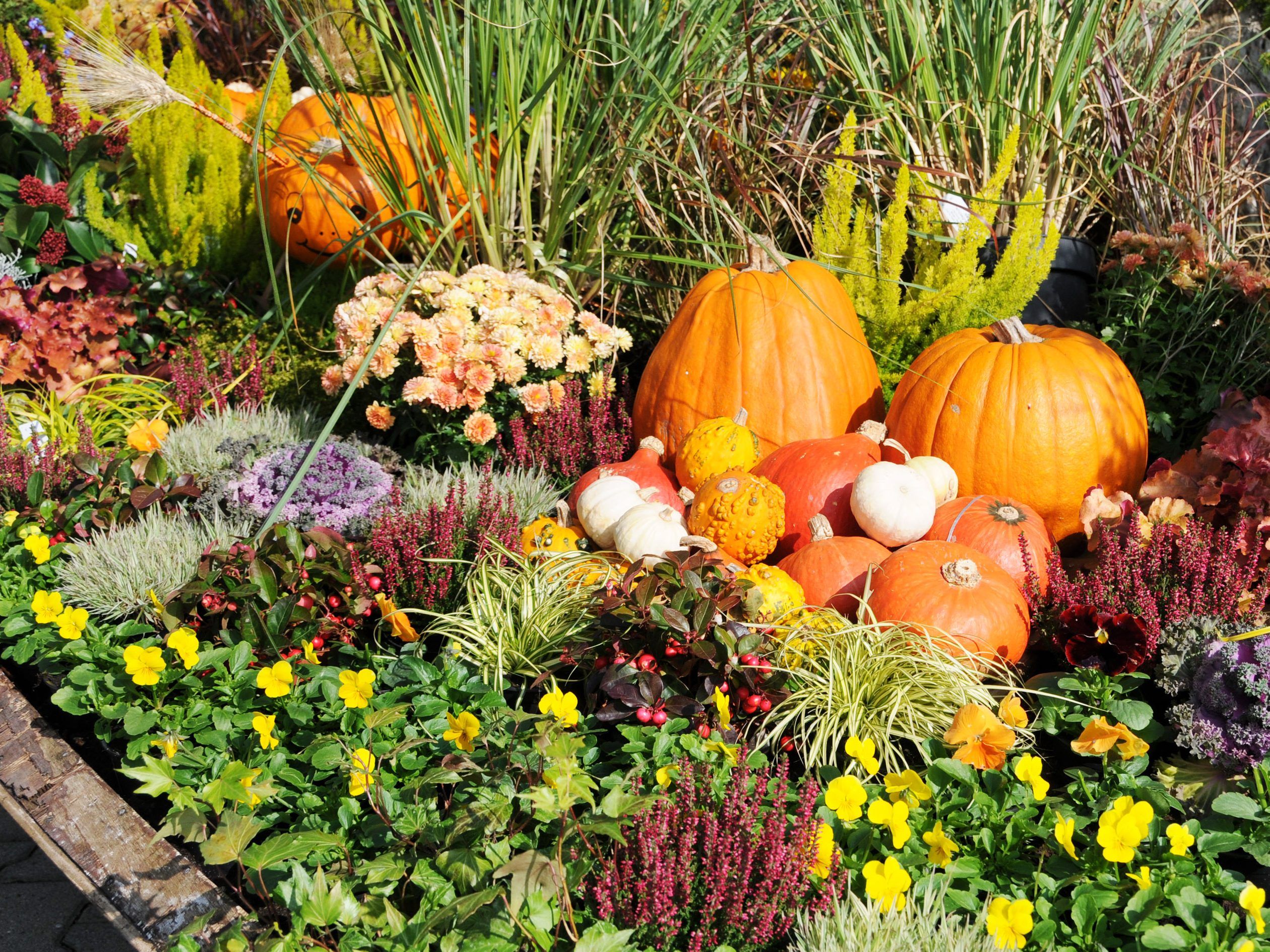 Herbstzauber am Mahlerhof am 24. September