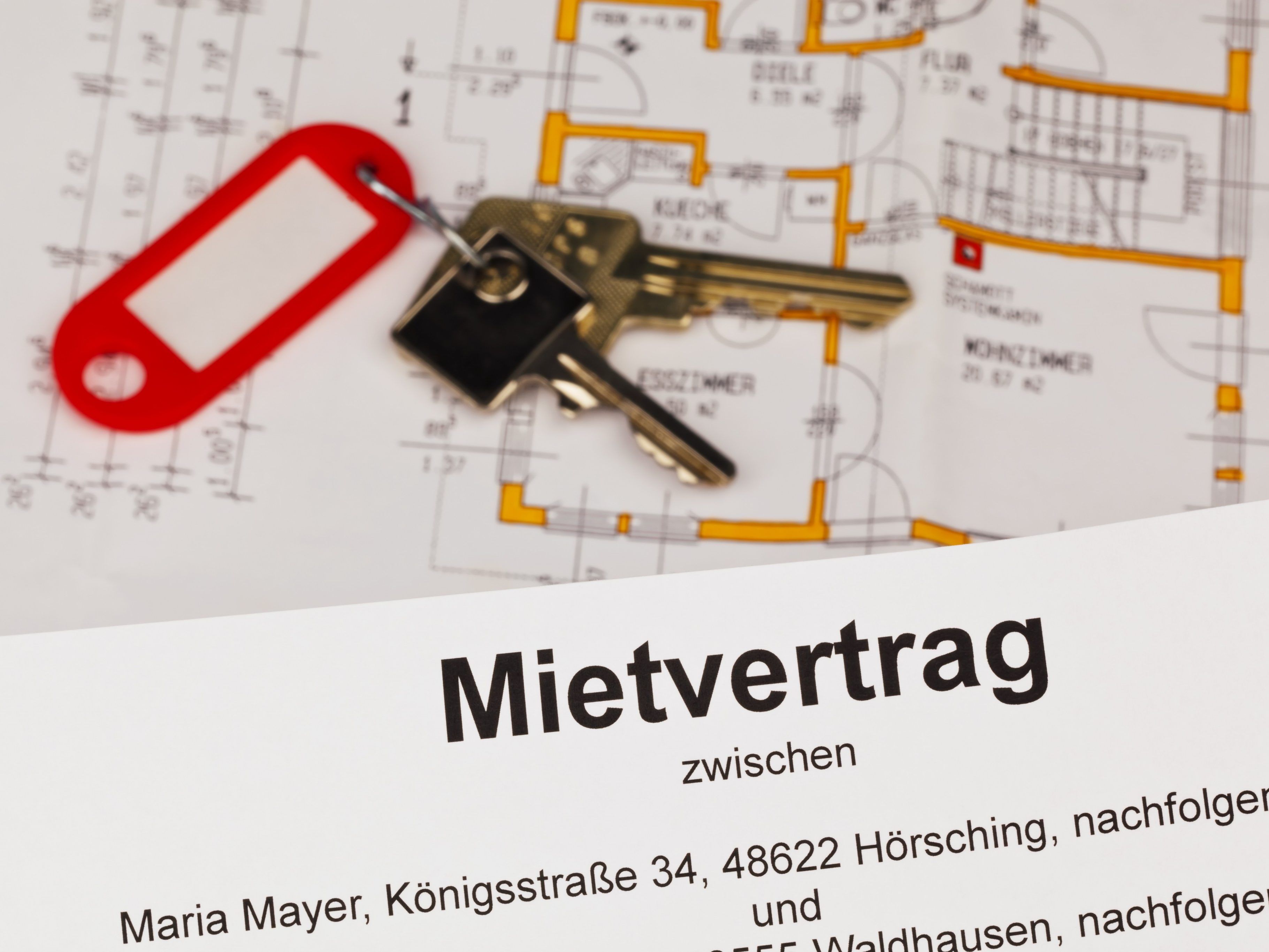 Eine Mietzinsobergrenze ist derzeit Wahlkampfthema. Eine Mietzinsobergrenze ist derzeit Wahlkampfthema.