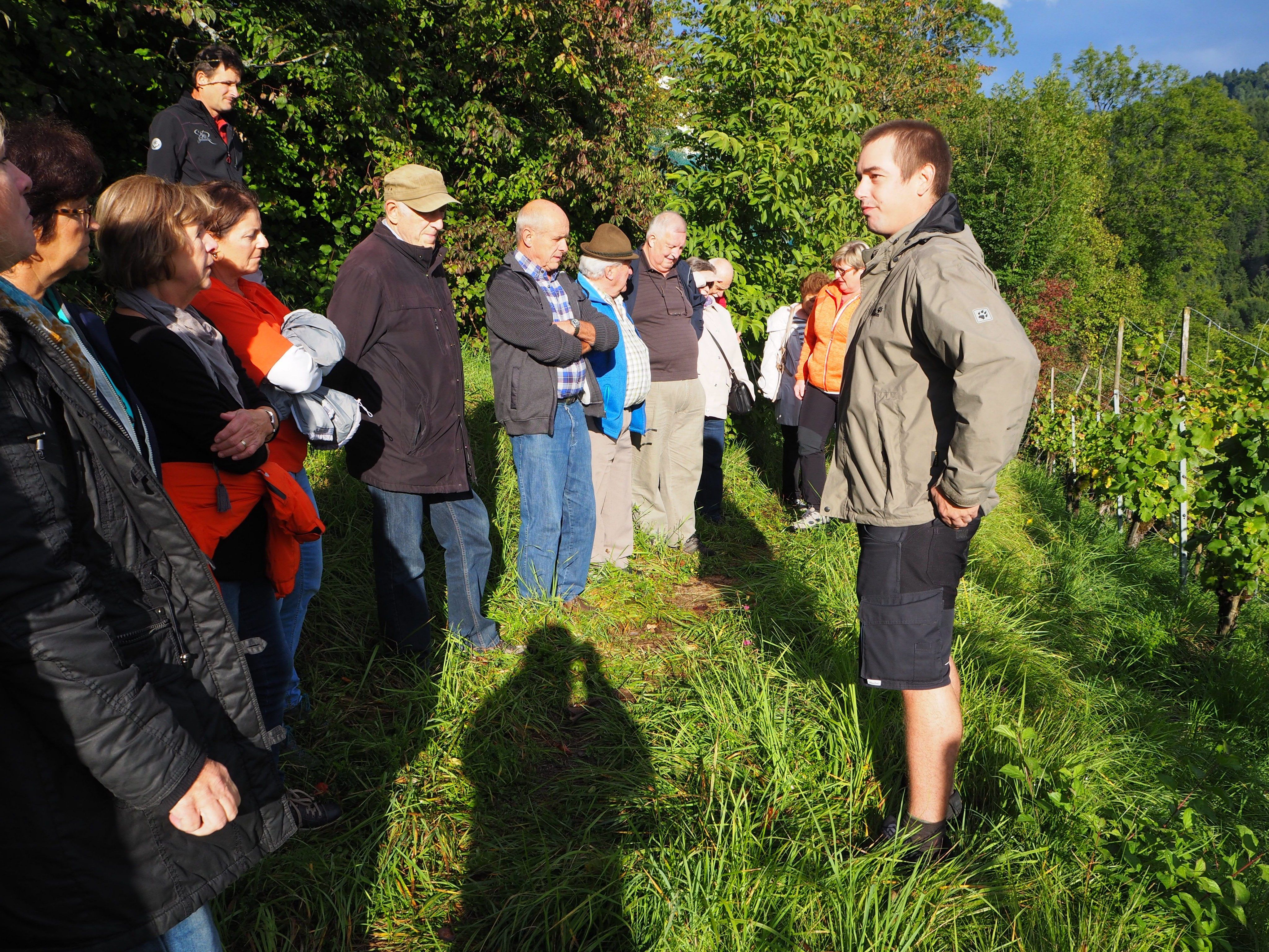 Weinwanderung Röthis
