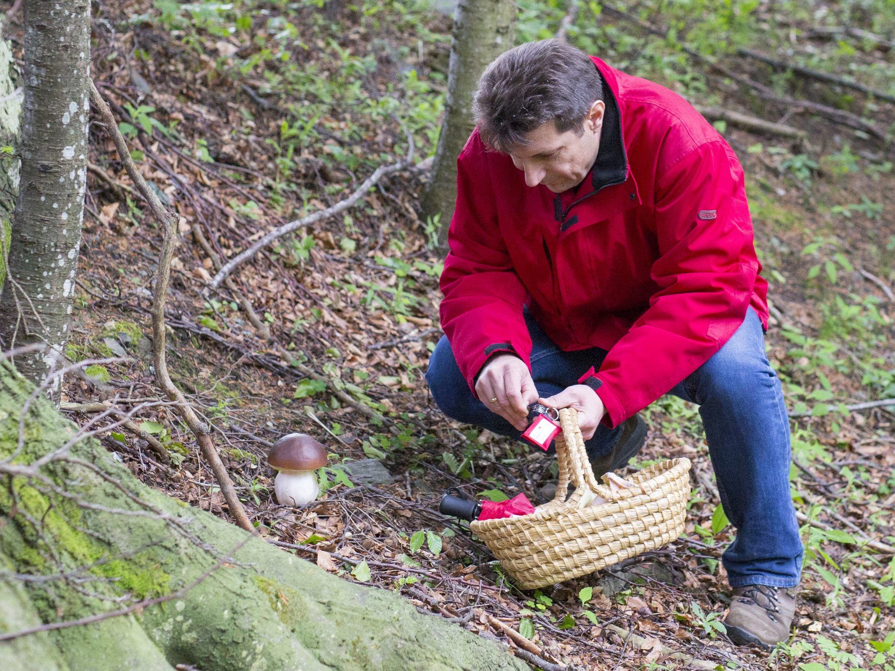Achtung bei der Pilz- und Schwammerlsuche.