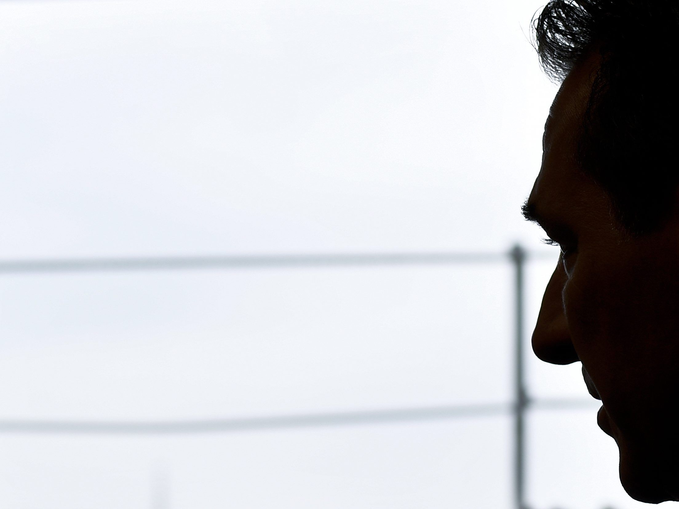 FPÖ-Chef Strache zum Thema der österreichischen EU-Mitgliedschaft