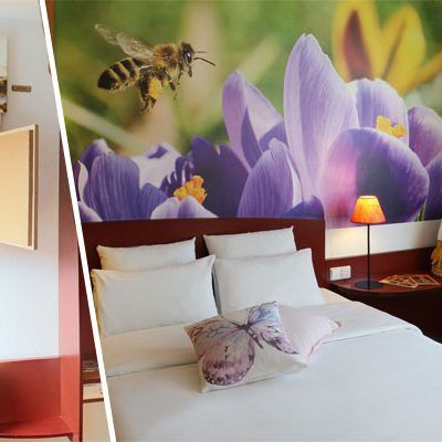 Im "Novotel Suites Wien City Donau" lassen sich Bienen bei der Arbeit beobachten.