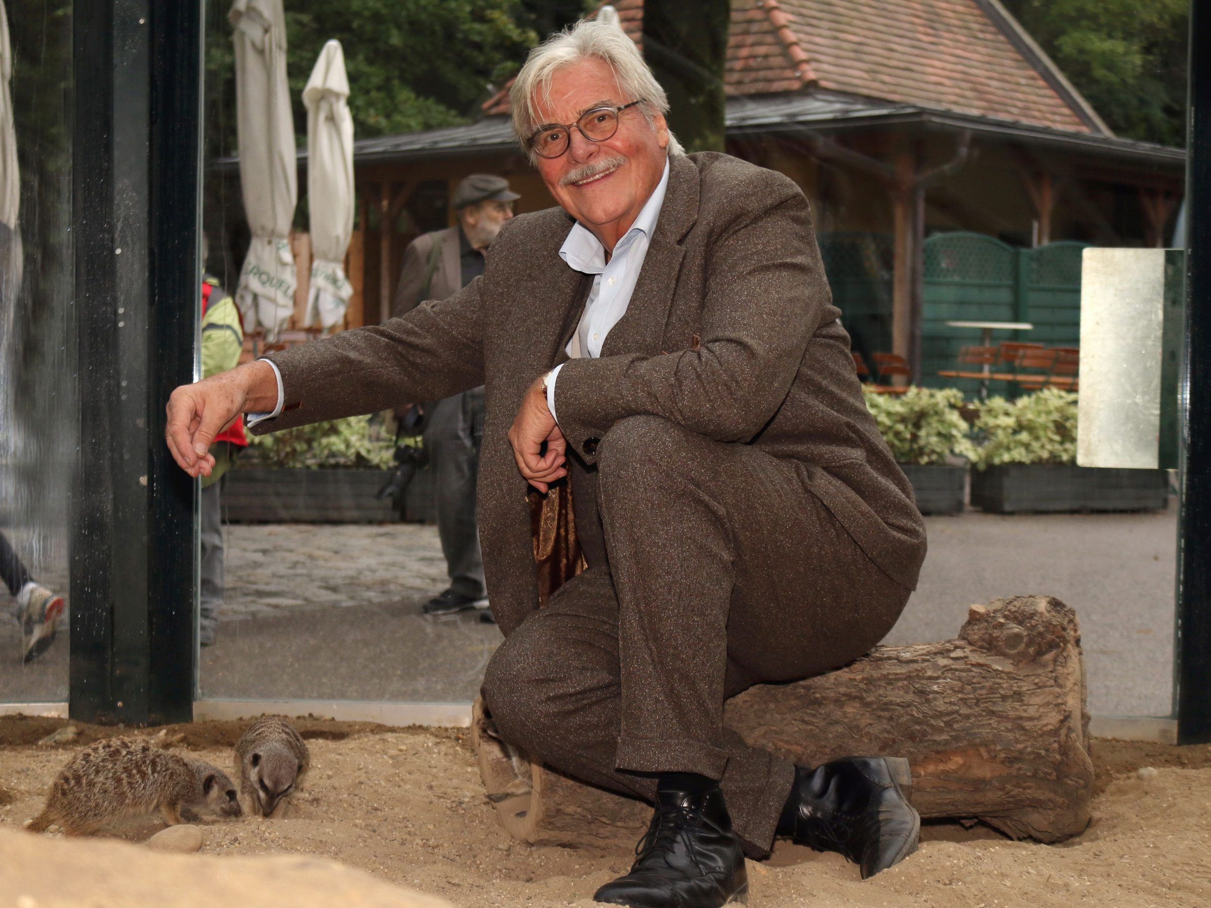 Pate Peter Simonischek und die Erdmännchen Pate Peter Simonischek und die Erdmännchen