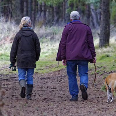 Beim Wandern mit dem Hund sollten einige Regeln beachtet werden.