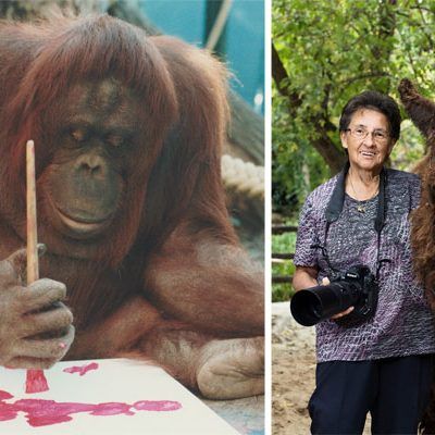 Die schönsten Momente aus 25 Jahren Schönbrunn hat Fotografin Jutta Kirchner festgehalten