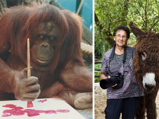 Die schönsten Momente aus 25 Jahren Schönbrunn hat Fotografin Jutta Kirchner festgehalten