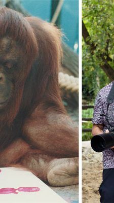 Die schönsten Momente aus 25 Jahren Schönbrunn hat Fotografin Jutta Kirchner festgehalten