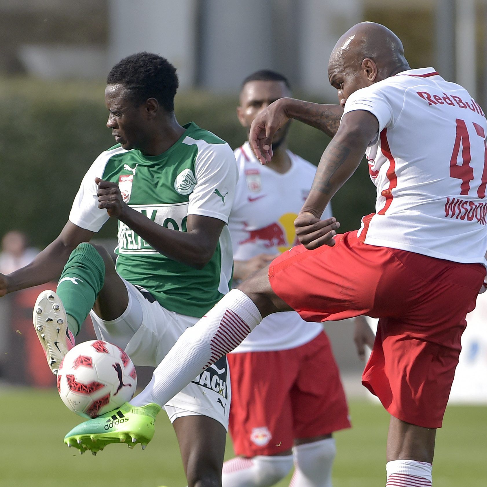 LIVE-Ticker zum Spiel SV Mattersburg gegen Red Bull Salzburg ab 16.30 Uhr.