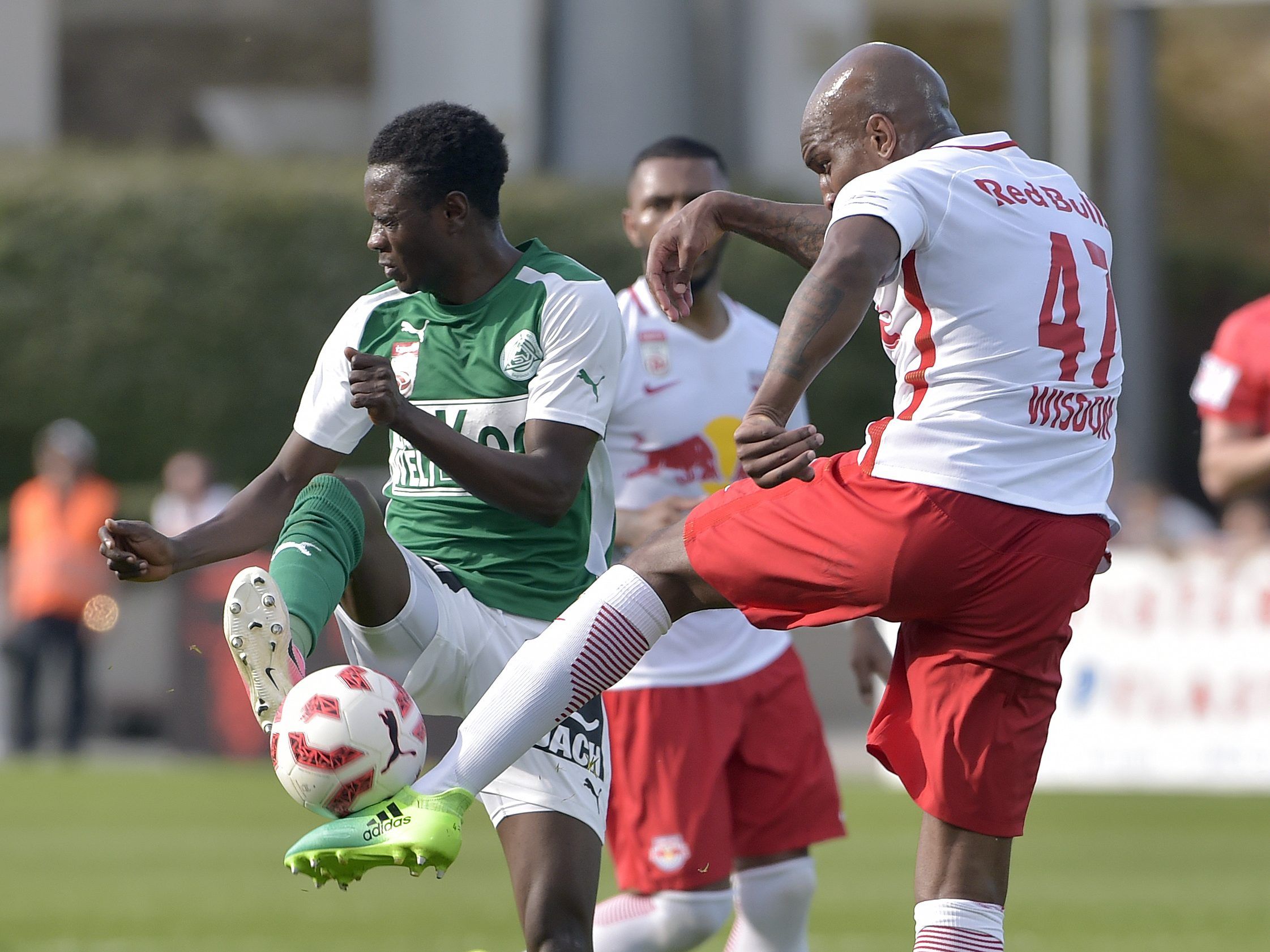 LIVE-Ticker zum Spiel SV Mattersburg gegen Red Bull Salzburg ab 16.30 Uhr.