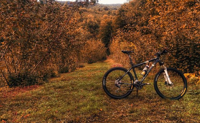mountainbiken-herbst-pixabay