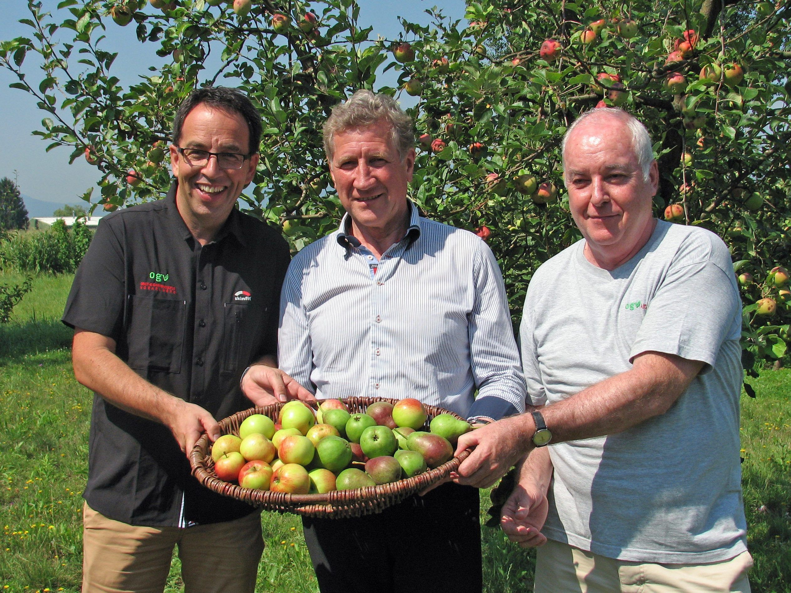Frisches Obst sucht Abnehmer Frisches Obst sucht Abnehmer