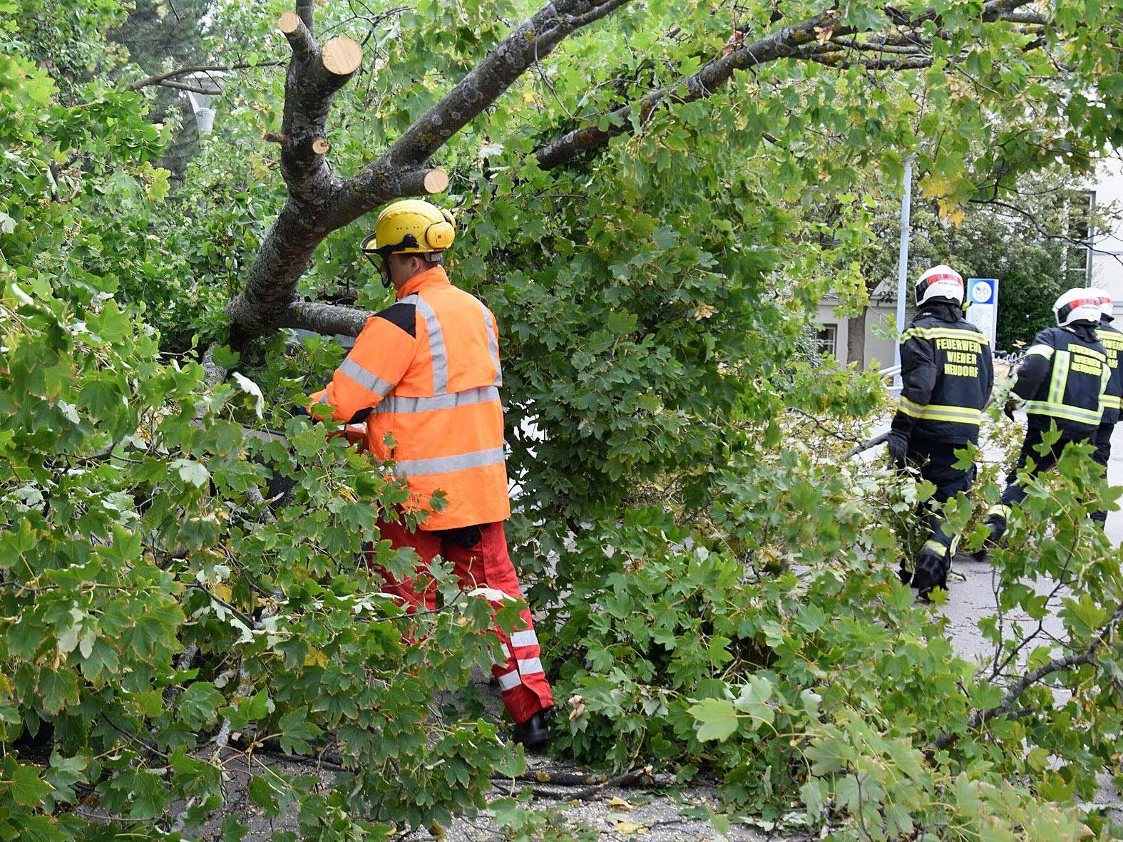 Die Freiwillige Feuerwehr bei Aufräumarbeiten nach dem Sturm.