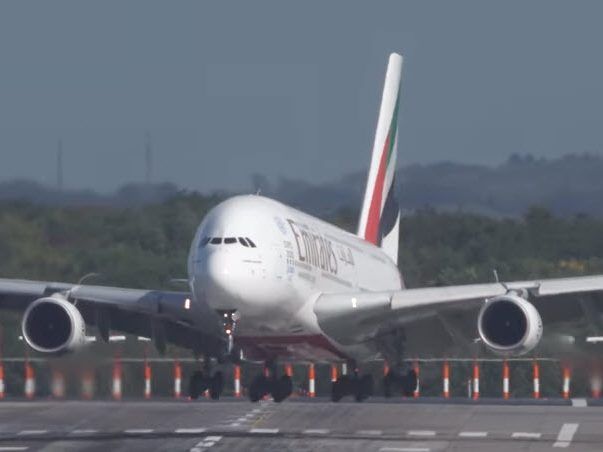 Diese Bilder sind nichts für schwache Nerven.