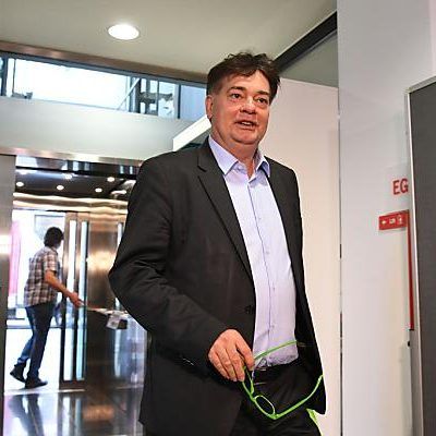 Werner Kogler übernimmt vorerst als Parteichef