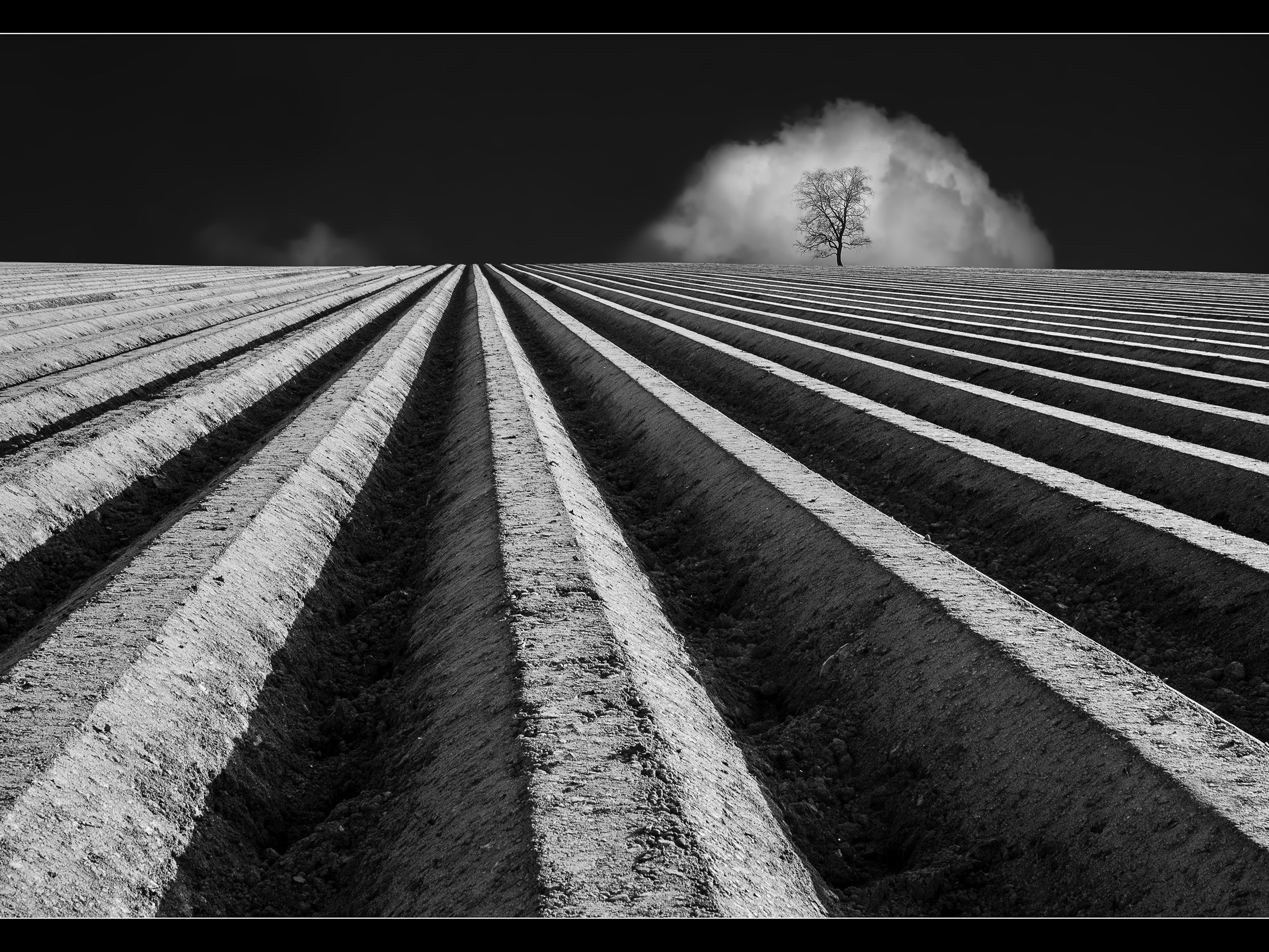 Mit diesem und vielen anderen beeindruckenden Bilder feierten die Mitglieder des Fotoclub am Kumma den Meistertitel.