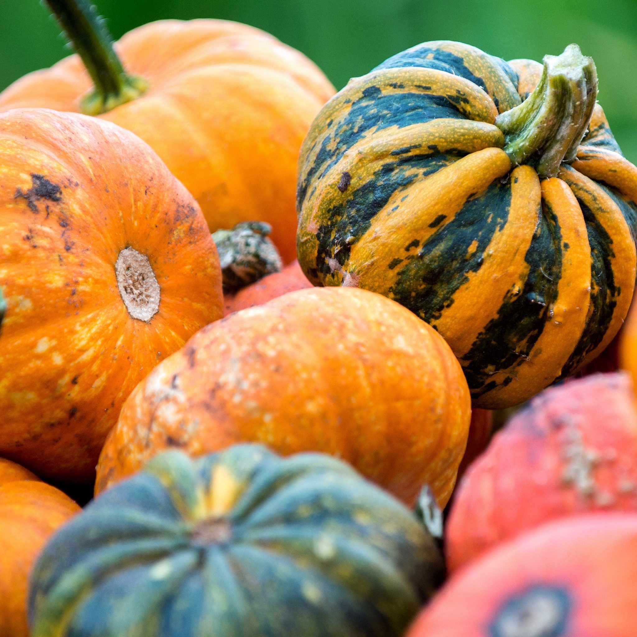 Welcher Star passt zu dir?