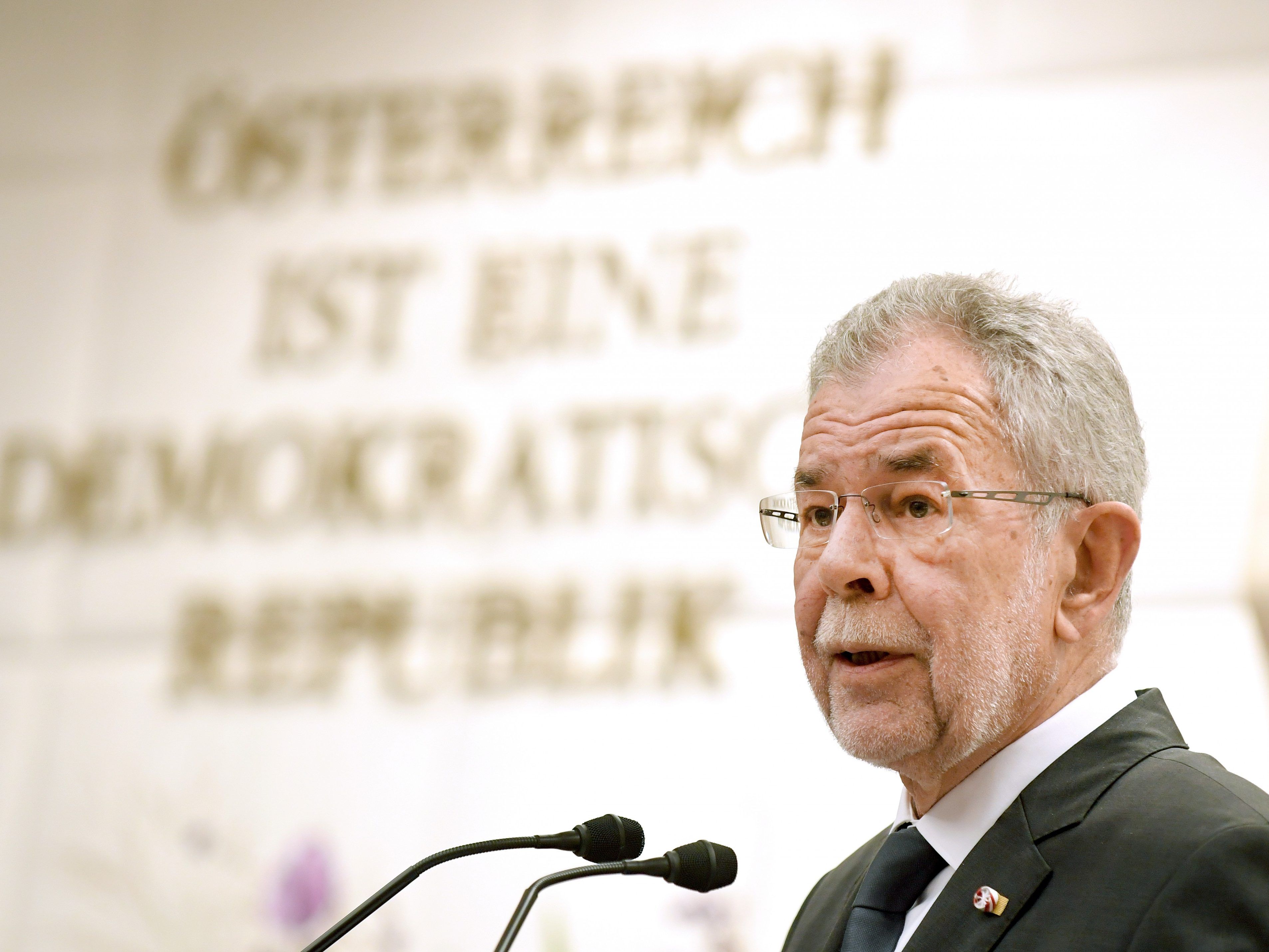 Van der Bellen bei seiner Rede zum Verfassungstag in Wien