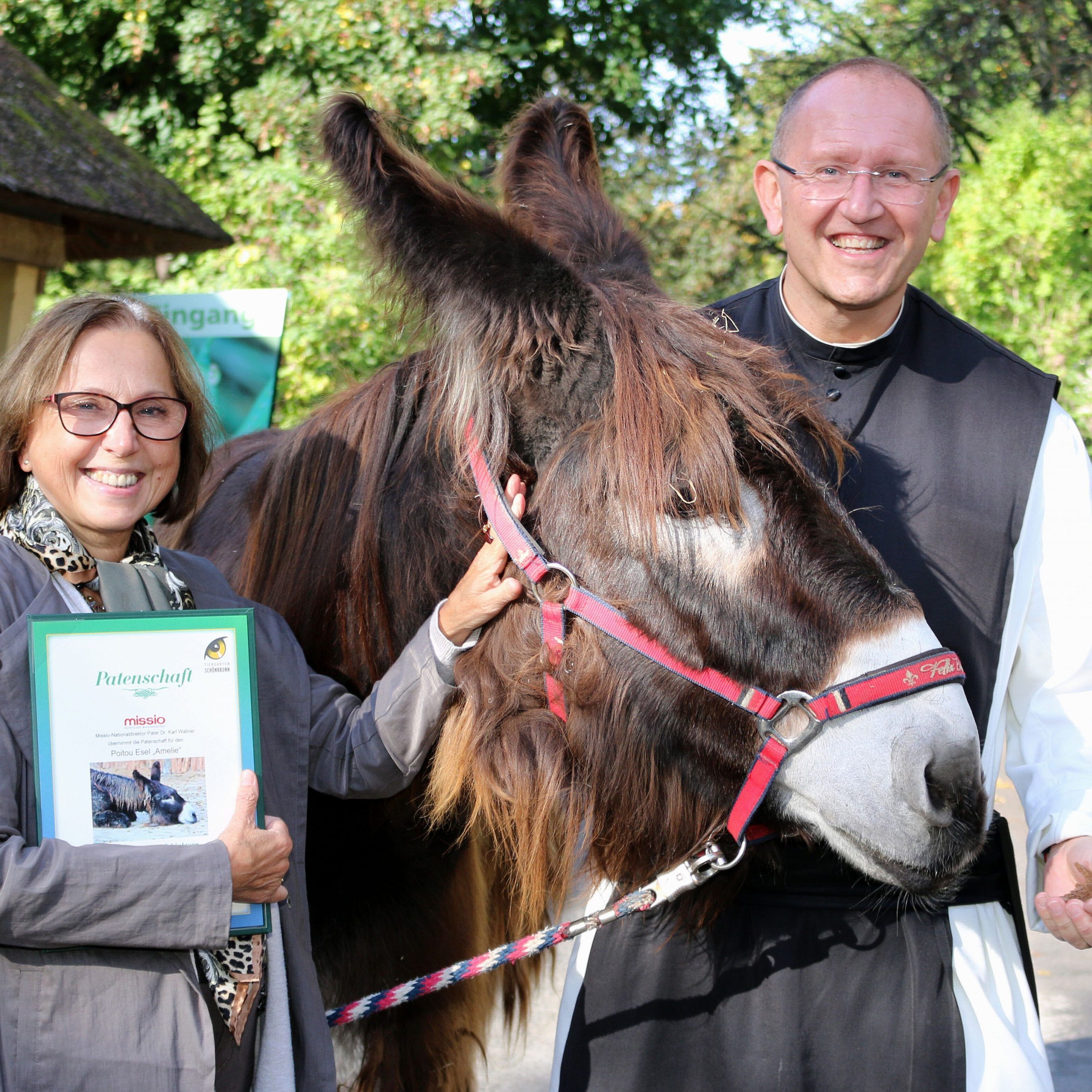(v.l.) Direktorin des Tiergartens Schönbrunn Dagmar Schratter, ein Poitou-Esel und Pater Karl Wallner