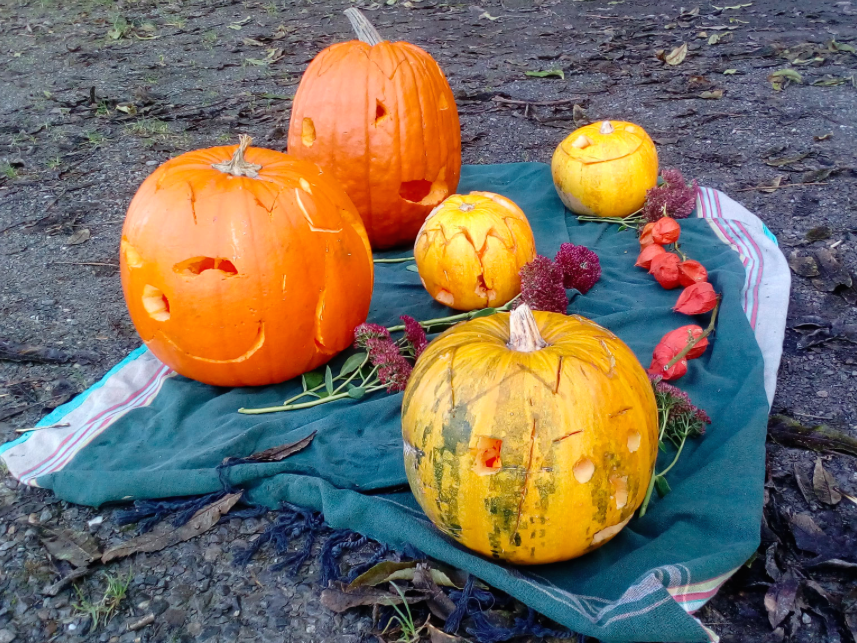 Kürbisse durften beim Herbstfest natürlich nicht fehlen Kürbisse durften beim Herbstfest natürlich nicht fehlen