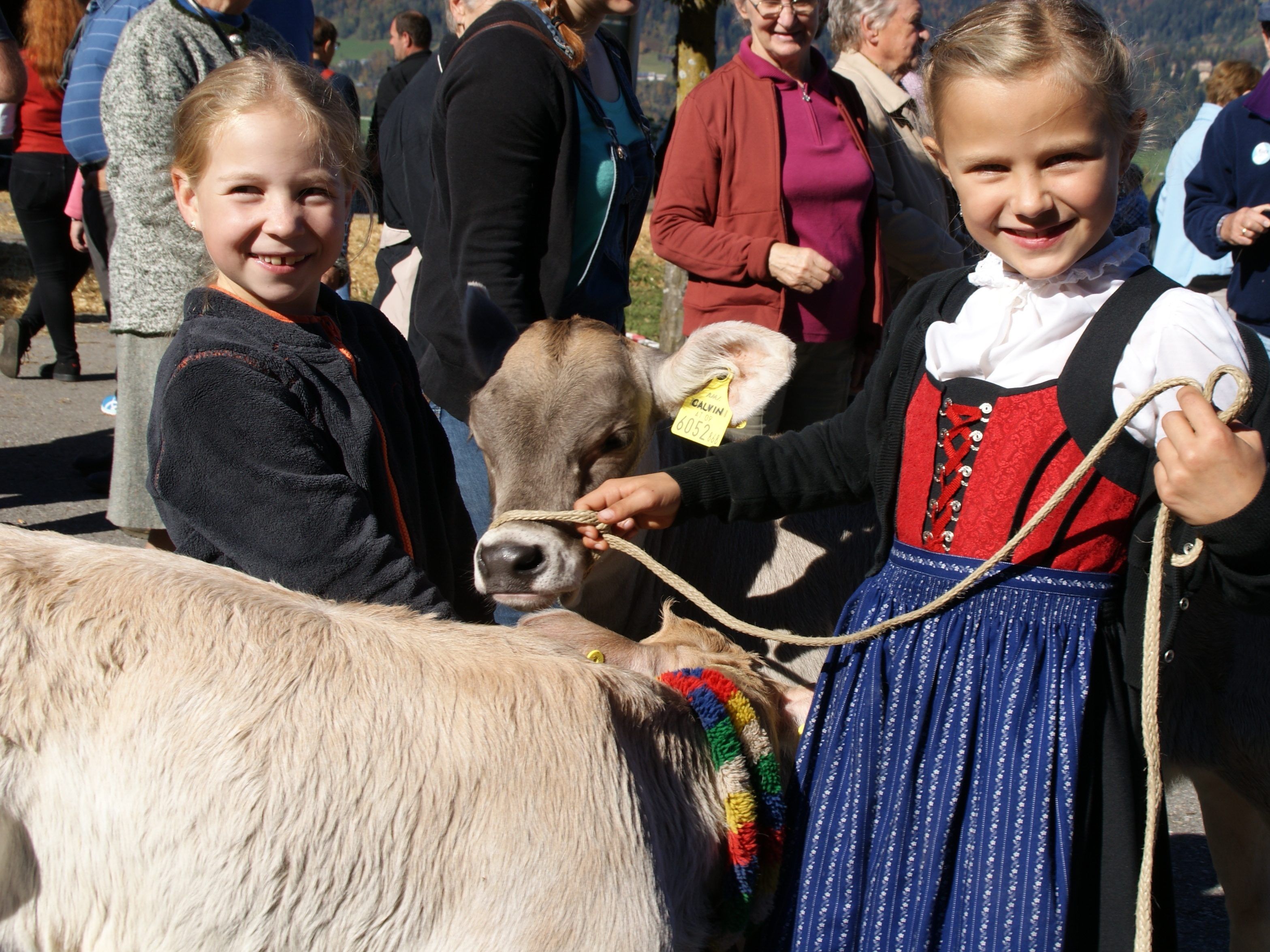 Im Fokus des Viehs: „Tierisch“ ging es kürzlich im Bucher Dorfzentrum zu.