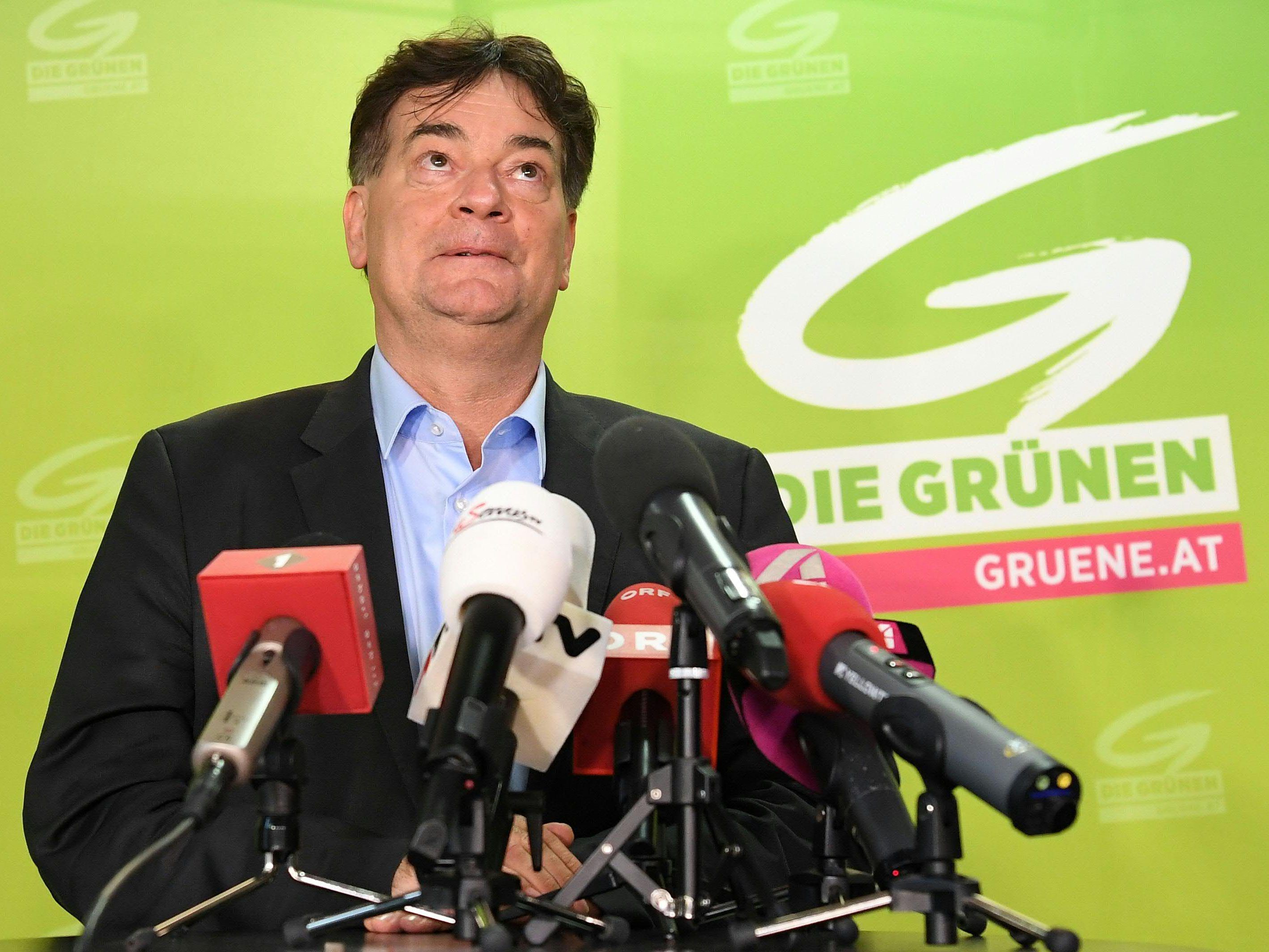 So wollen sich die Grünen neu aufstellen