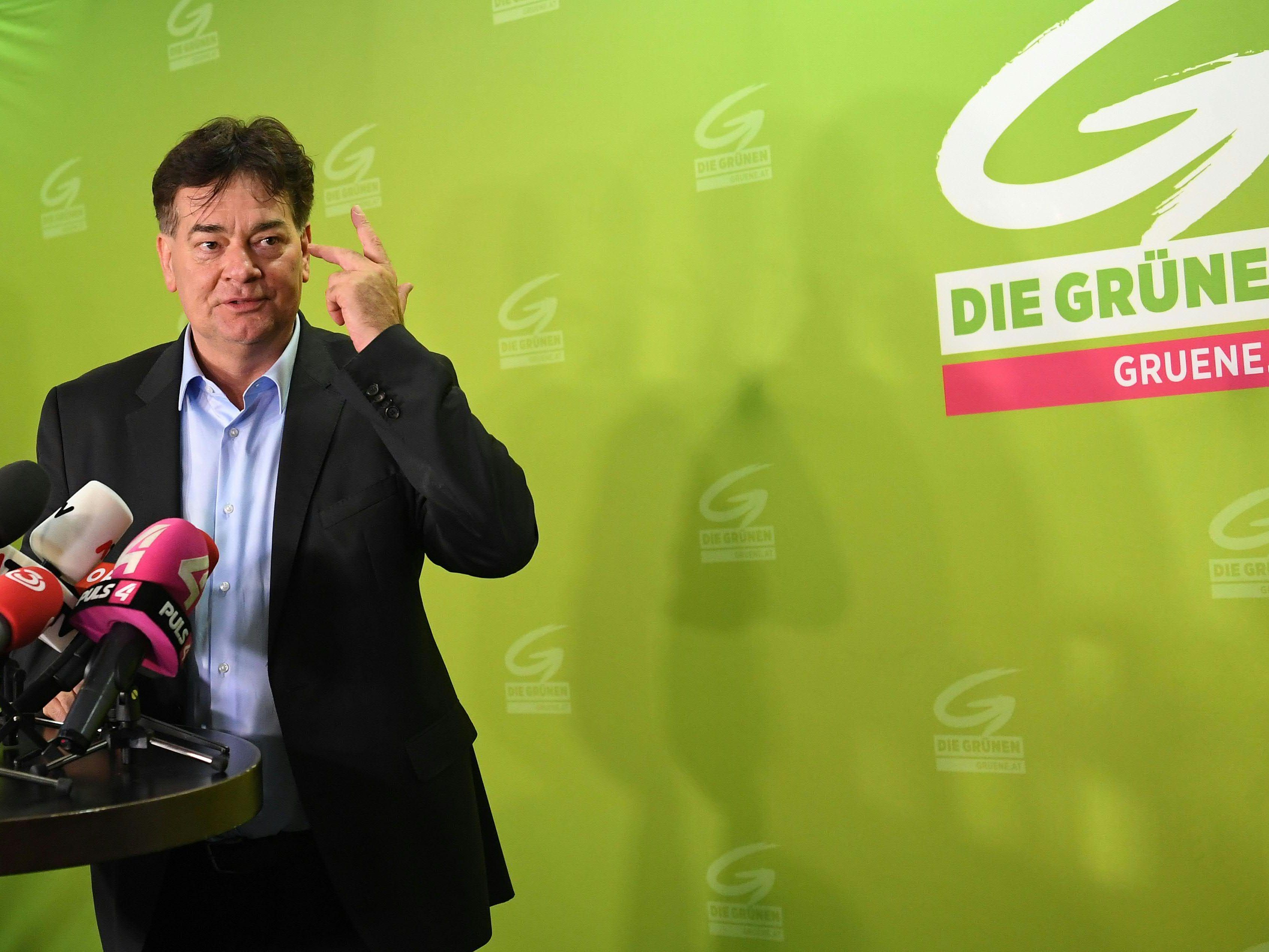 Der Sanierungsplan der Grünen muss laut Kogler bis Ende des Jahres stehen