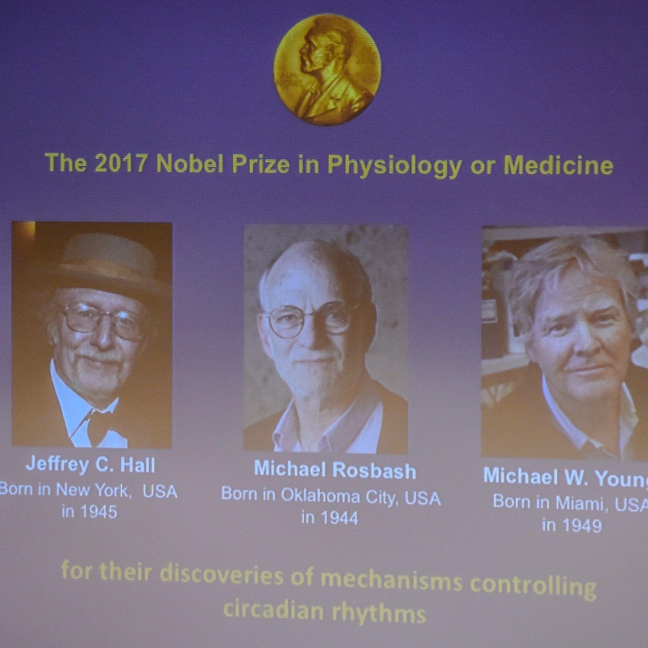 Der Medizin-Nobelpreis geht an drei US-Forscher: Jeffrey C. Hall, Michael Rosbash und Michael W. Young.