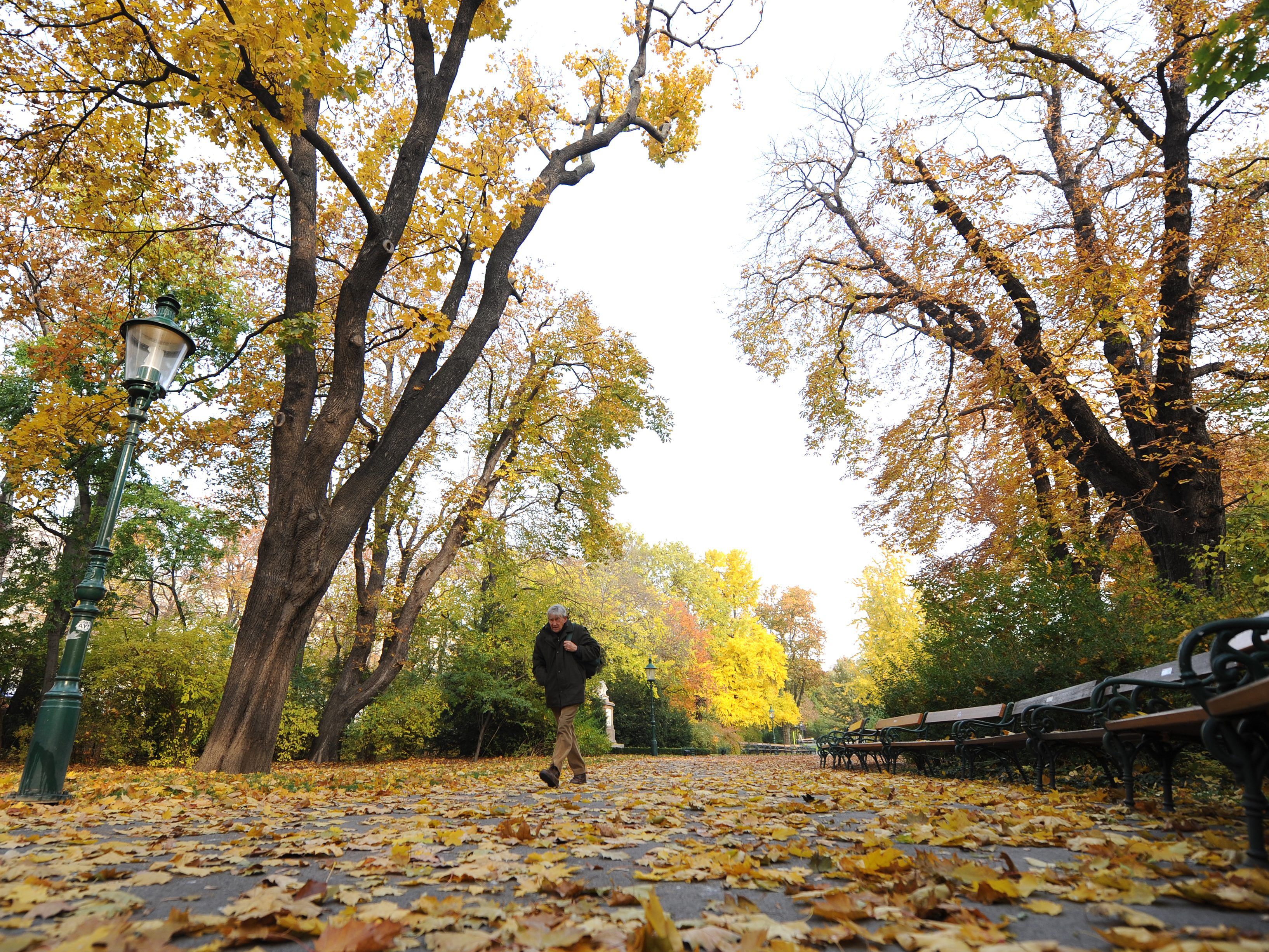 Ab Sonntag ist es vorbei mit den goldenen Herbsttagen. Ab Sonntag ist es vorbei mit den goldenen Herbsttagen.
