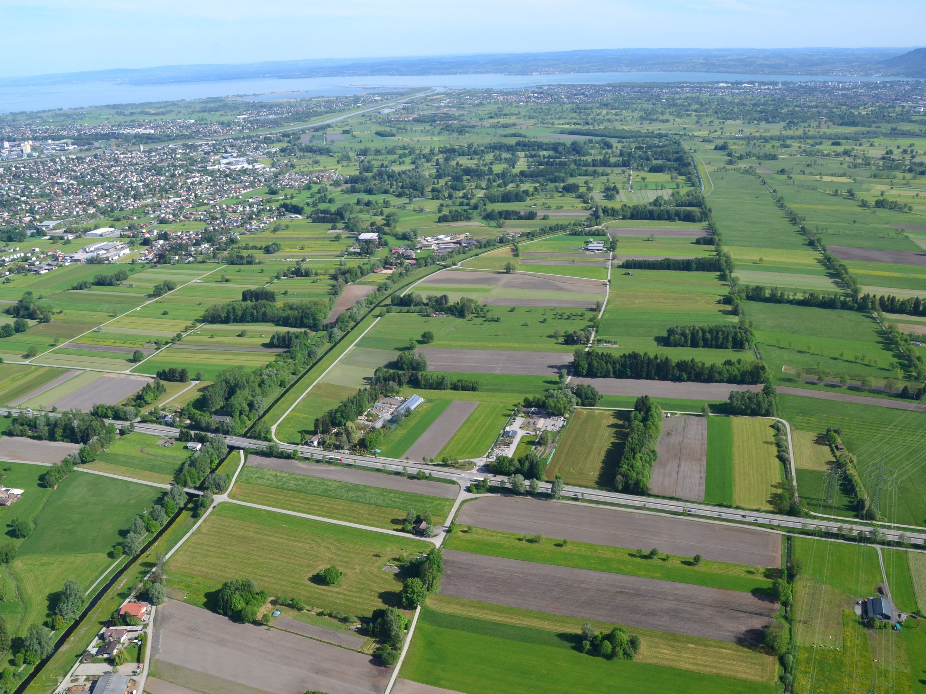 Naturjuwel und landwirtschaftliche Nutzfläche: Das Lustenauer Ried ist eine wertvolle Landschaft. Naturjuwel und landwirtschaftliche Nutzfläche: Das Lustenauer Ried ist eine wertvolle Landschaft.