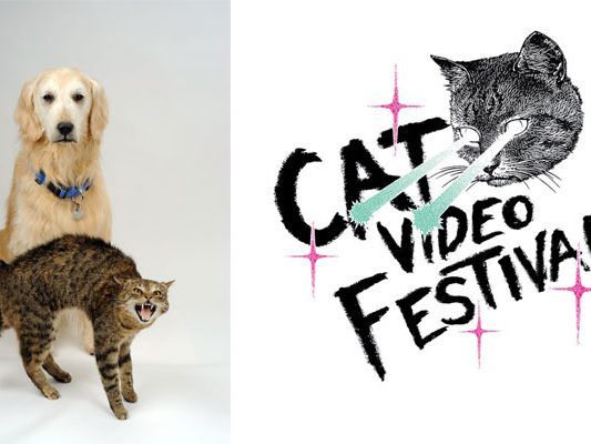 Das Cat Video Festival findet im Rahmen der "Hund & Katz"-Sonderausstellung im NHM Wien statt Das Cat Video Festival findet im Rahmen der "Hund & Katz"-Sonderausstellung im NHM Wien statt