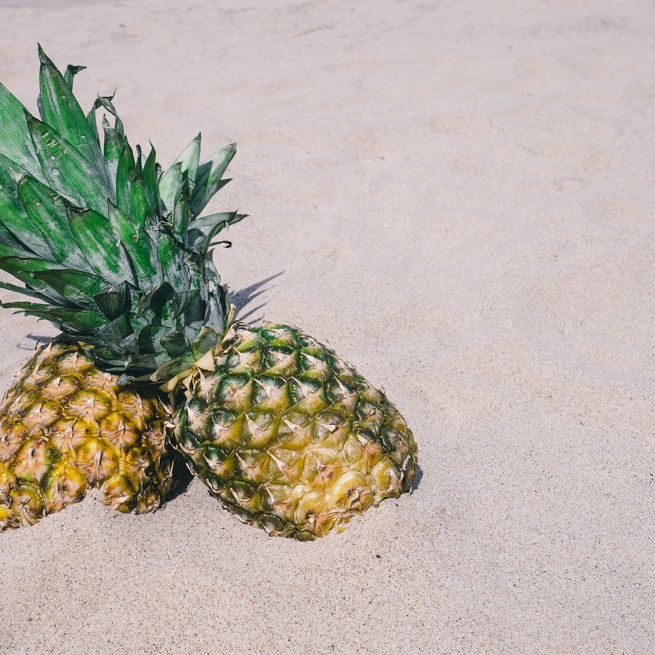 Was ist die Mehrzahl von Ananas?