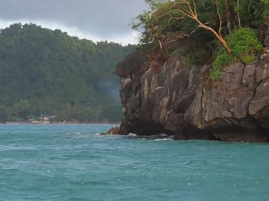 Das Tier wurde auf den Philippinen angespült