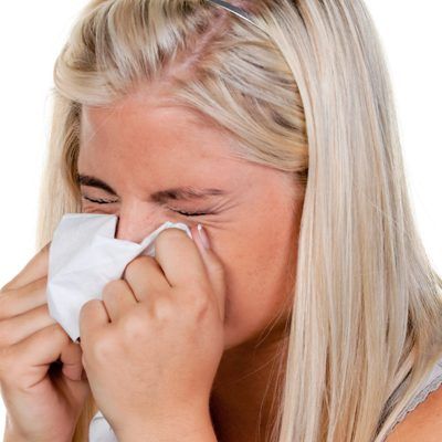 Viele Menschen sind auf ihre vierbeinigen Mitbewohner allergisch.