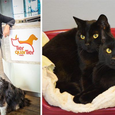 Das TierQuarTier Wien lädt zum Tag der Offenen Tür