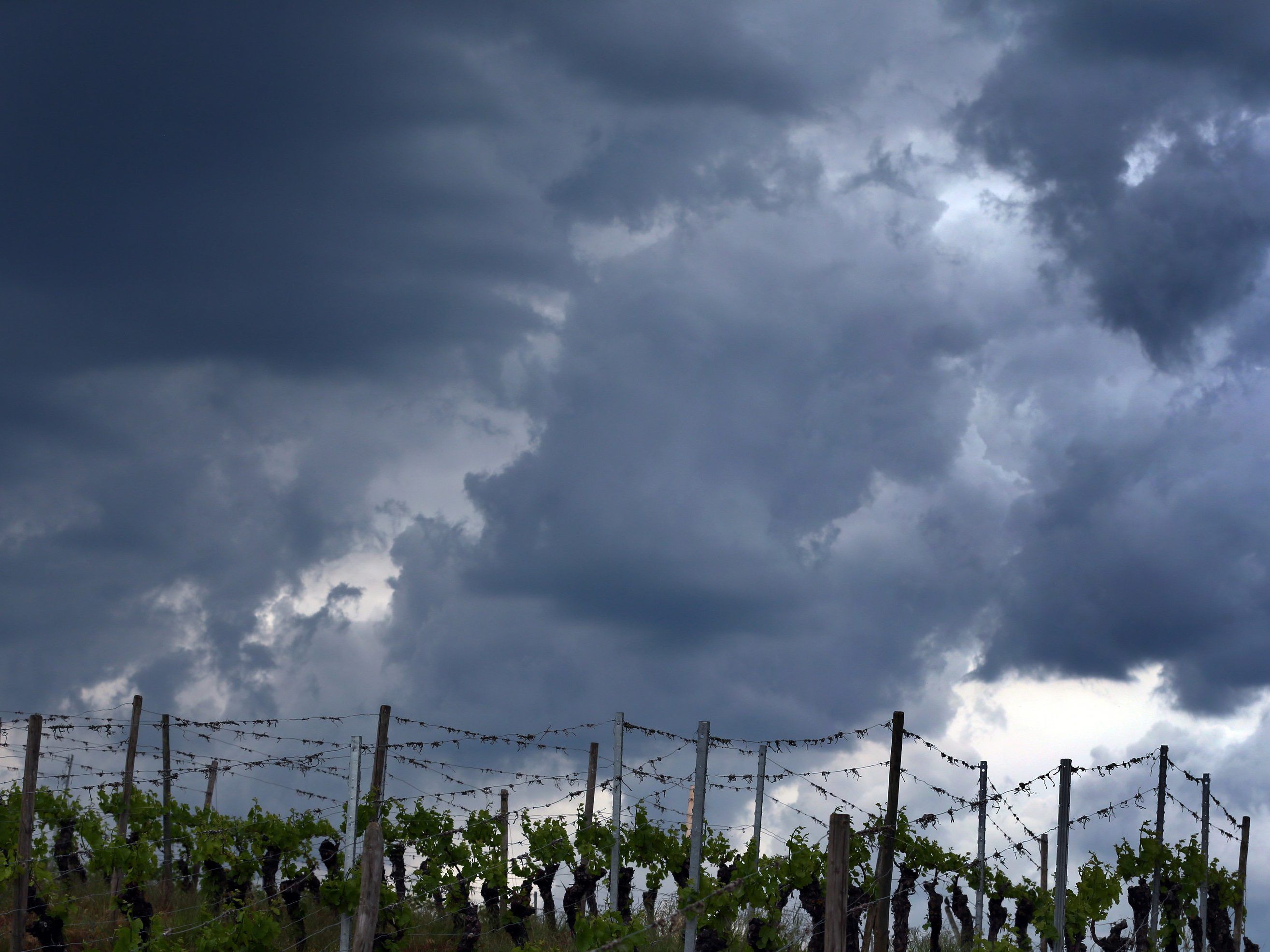 Die kommende Woche bringt viele Wolken. Die kommende Woche bringt viele Wolken.