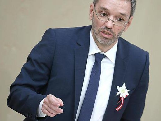 Kickl mit Edelweiß statt Kornblume Kickl mit Edelweiß statt Kornblume