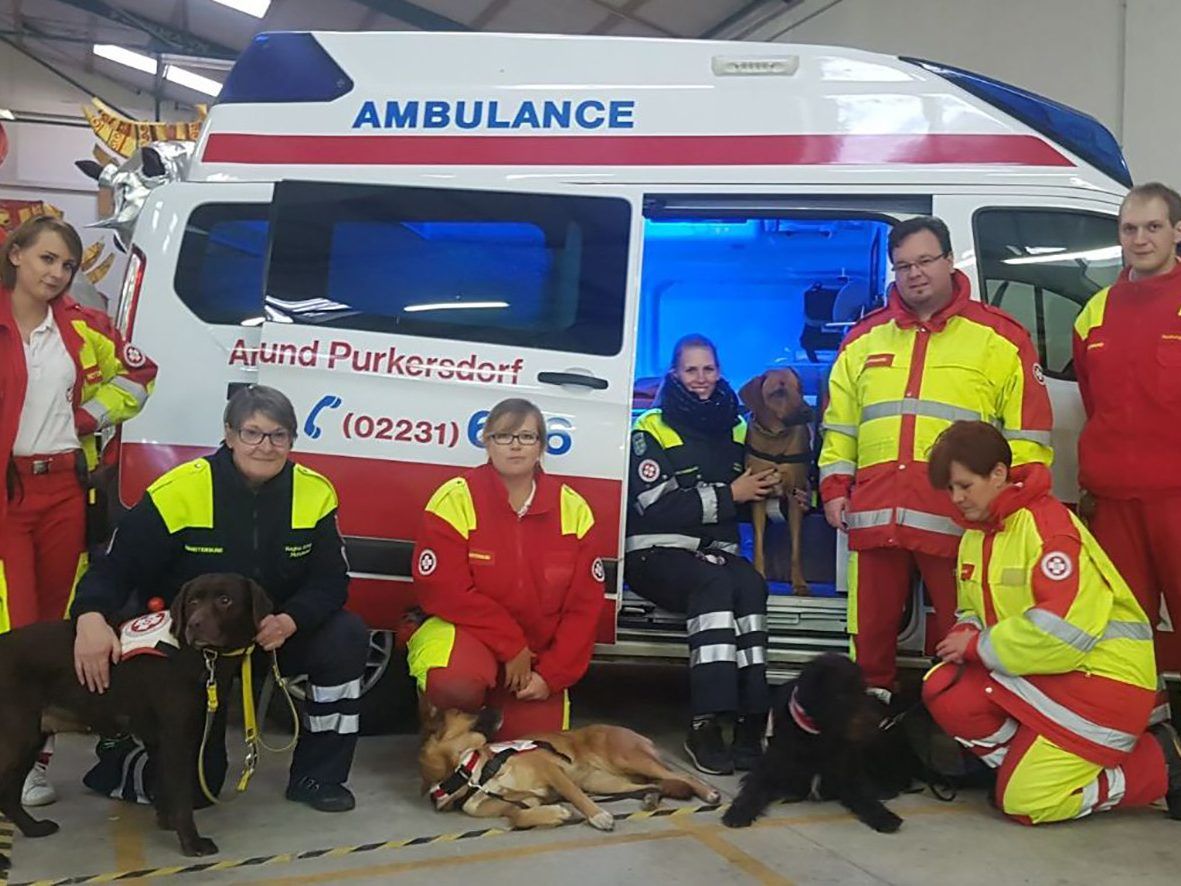 Die Rettungshundestaffel war ein Highlight beim Adventzauber in Stockerau Die Rettungshundestaffel war ein Highlight beim Adventzauber in Stockerau