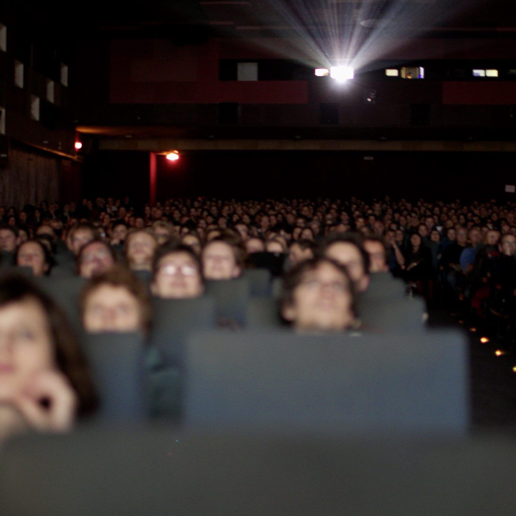 Eva Rotter im Interview zu ihrer präferierten Viennale-Direktion-Nachfolge