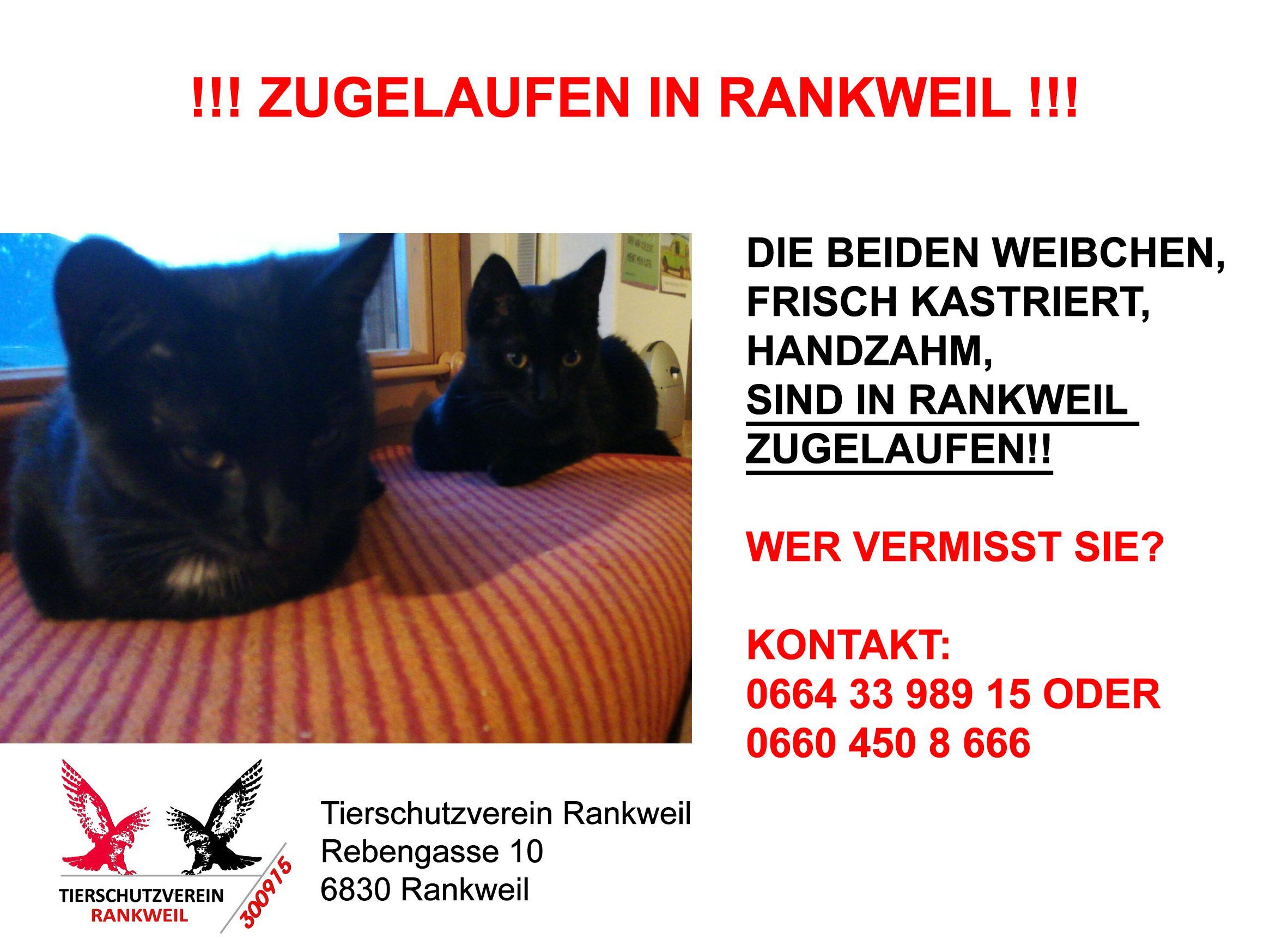 TSV Rankweil TSV Rankweil