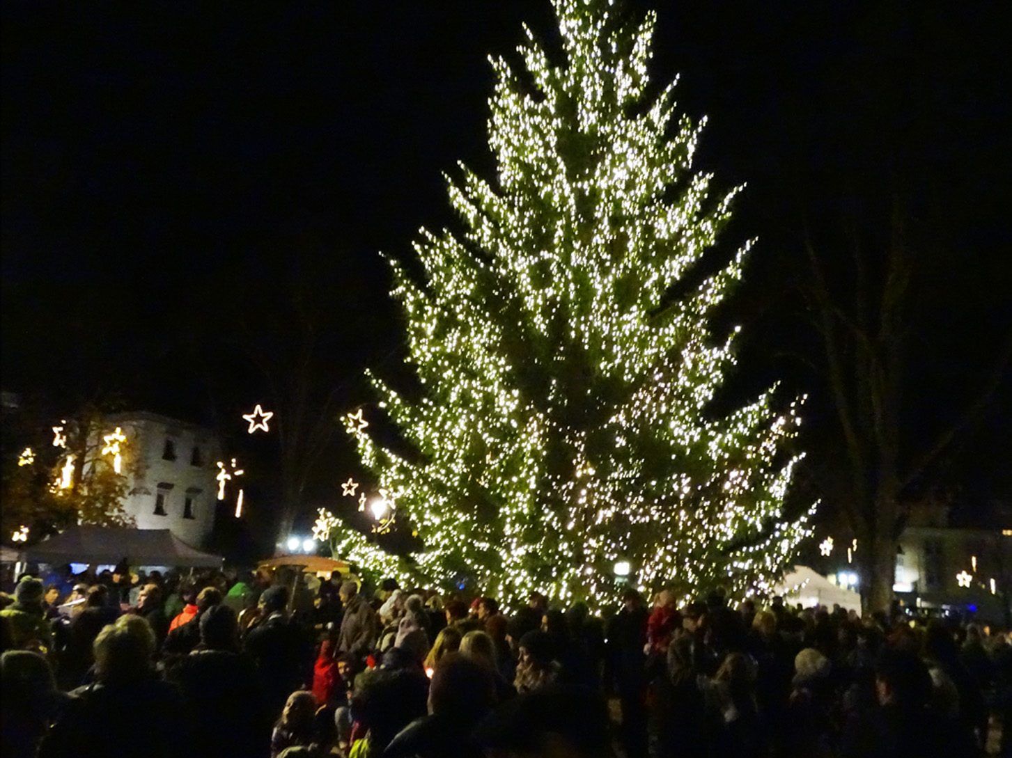 Der Hohenemser Weihnachtsbaum auf dem Schlossplatz trägt rund 25.000 Lichter.