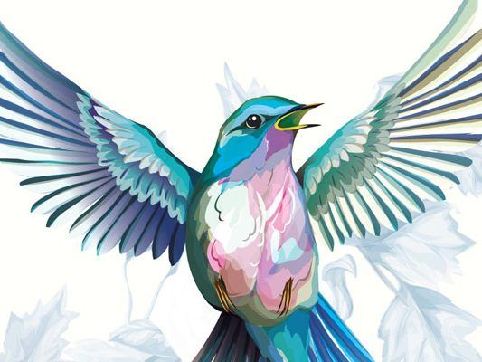 Im November findet wieder das "Blue Bird Festival" im Wiener "Porgy & Bess" statt.