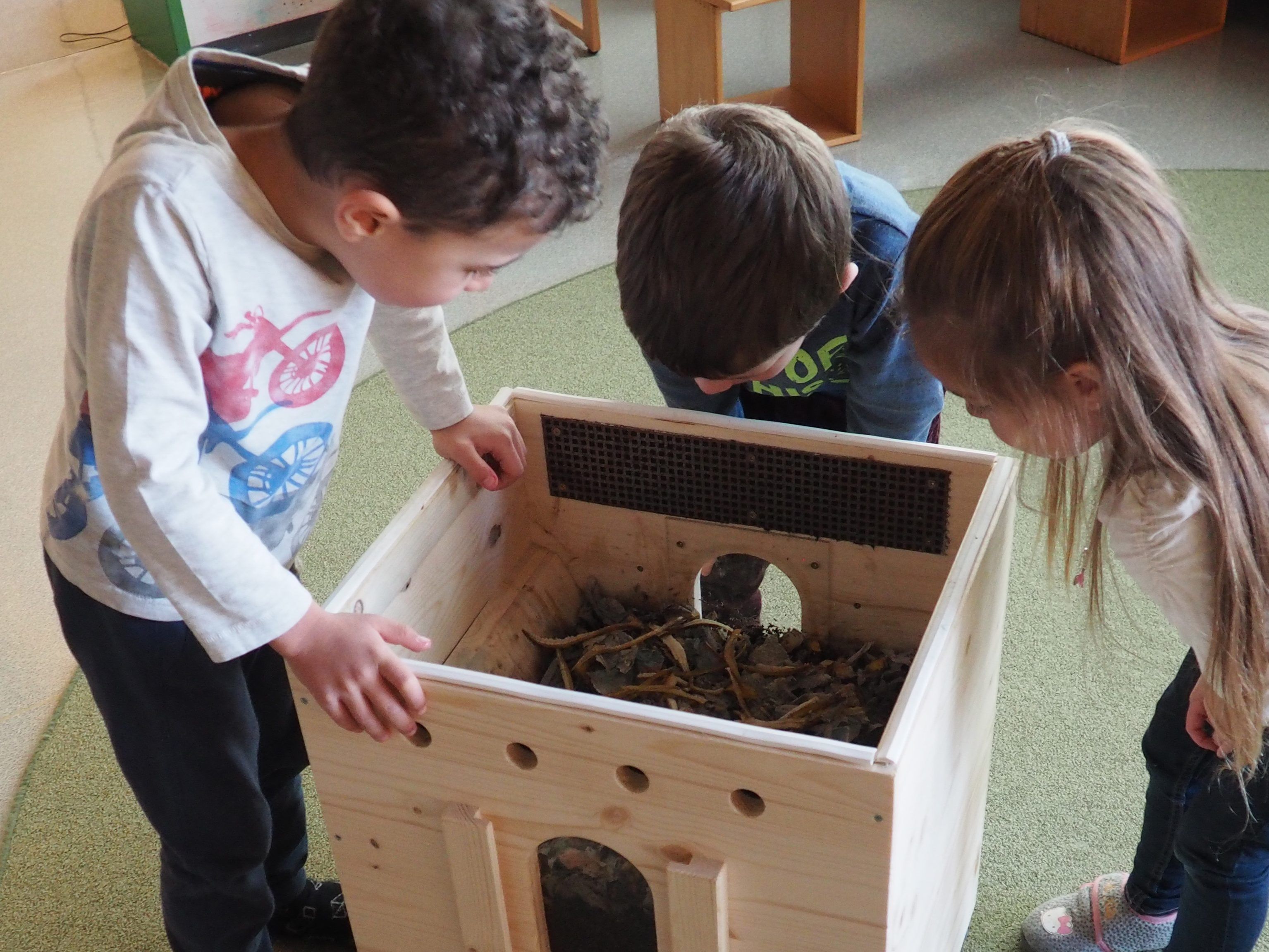 Mit Begeisterung beobachten die Kinder ihre ungewöhnlichen Haustiere. Mit Begeisterung beobachten die Kinder ihre ungewöhnlichen Haustiere.