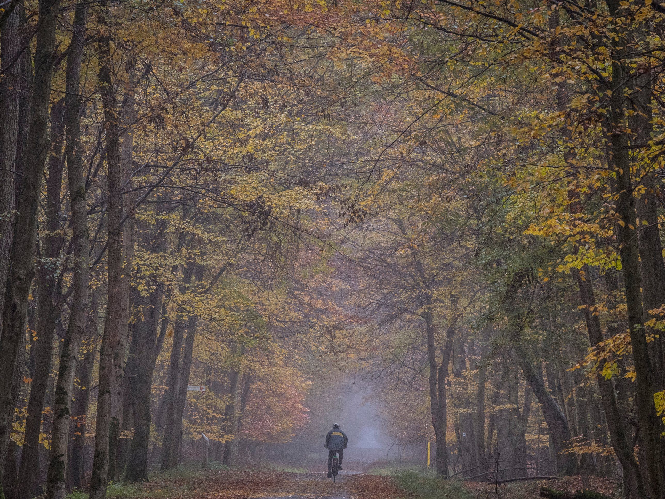 Der Herbst 2017 brachte teils kaltes und nasses Wetter. Der Herbst 2017 brachte teils kaltes und nasses Wetter.