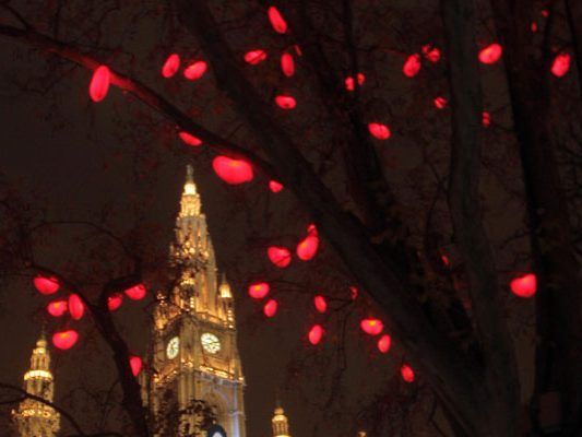 Wann wird man in Wien wieder den Herzerlbaum vor dem Rathaus sehen können?