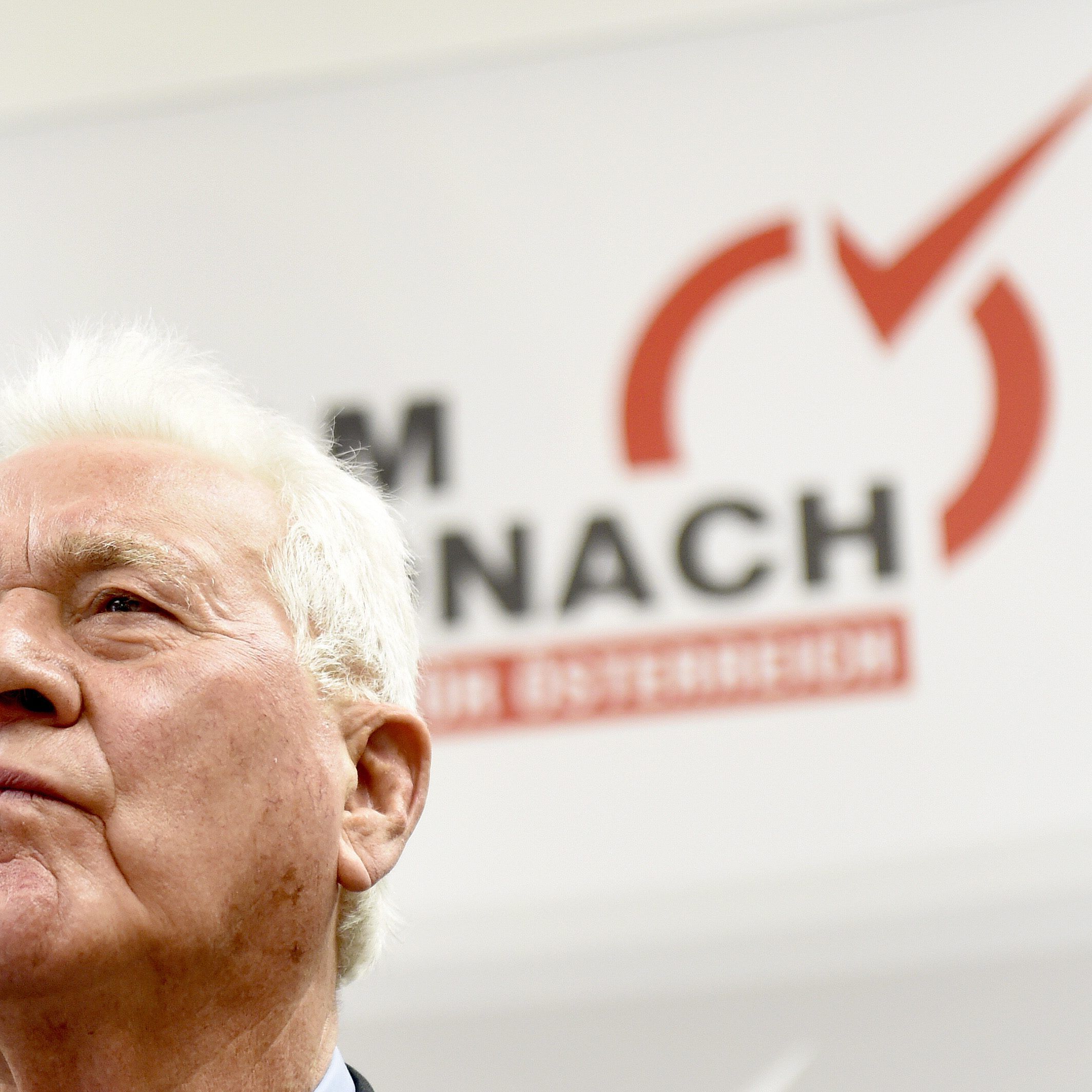 Das Team Stronach wird nicht zur Landtagswahl in Niederösterreich antreten.