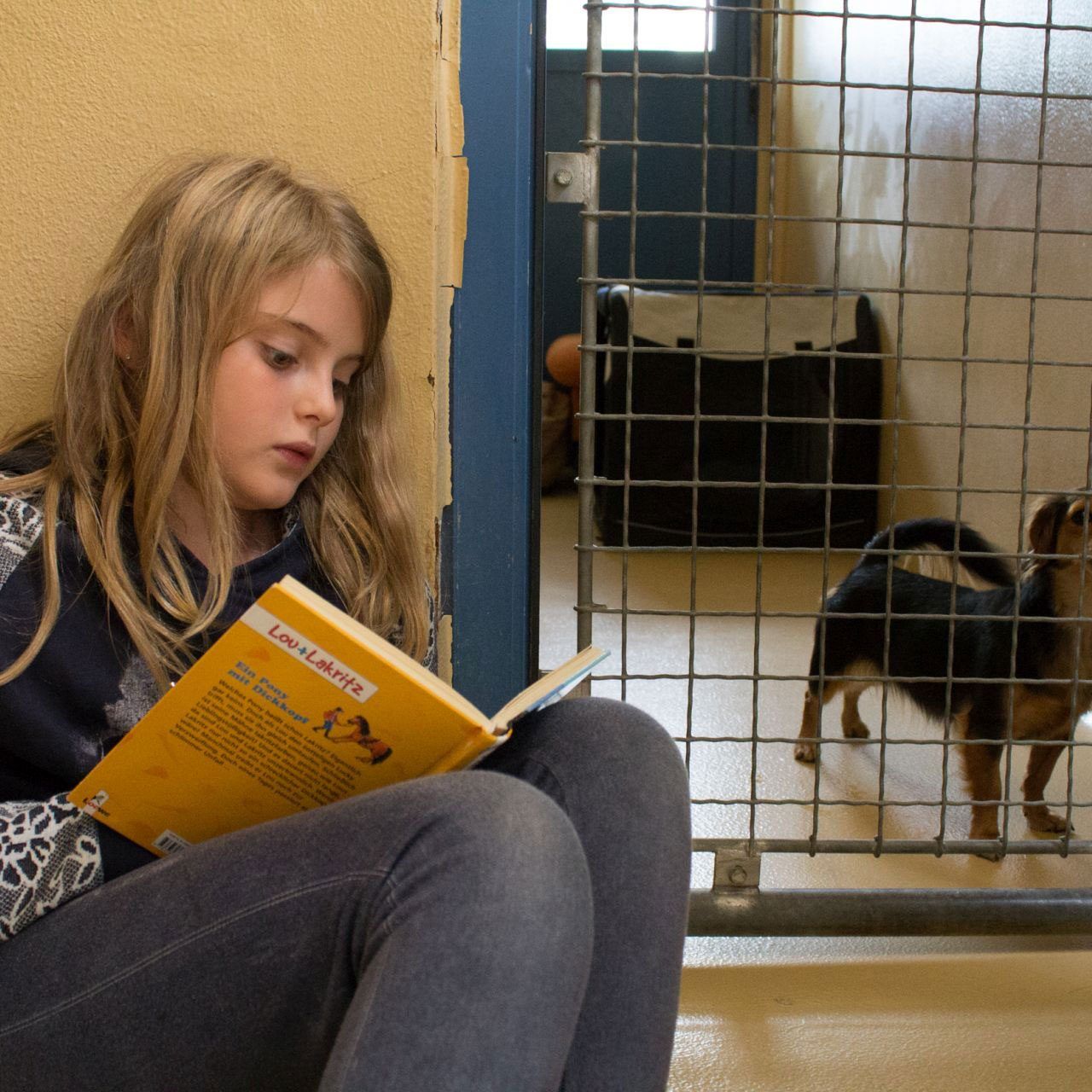 Wenn „Bello“ auf Harry Potter steht: Kinder lesen Hunden vor