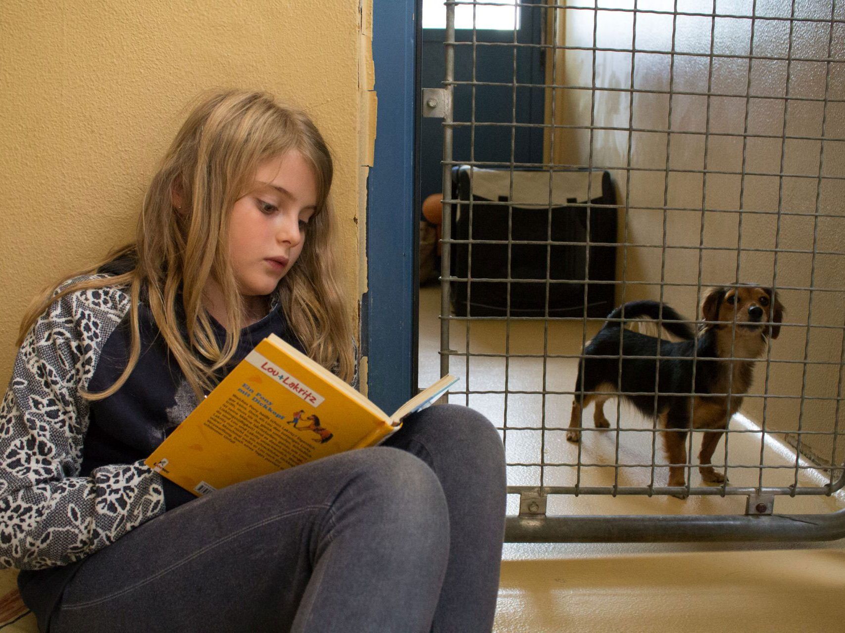 Wenn „Bello“ auf Harry Potter steht: Kinder lesen Hunden vor Wenn „Bello“ auf Harry Potter steht: Kinder lesen Hunden vor
